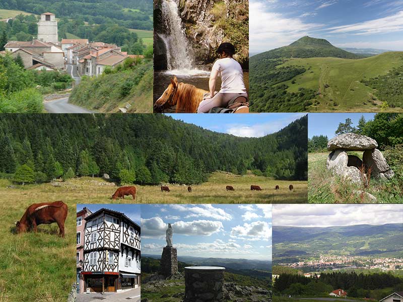 Plusieurs photos montrant la région sous différentes coutures : vaches, prairies, forêts, points de vue, puy de dôme, ambert, livradois forez