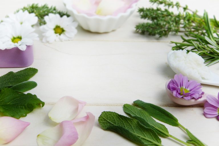 Lire la suite à propos de l’article La phytothérapie : votre meilleure amie bien-être !