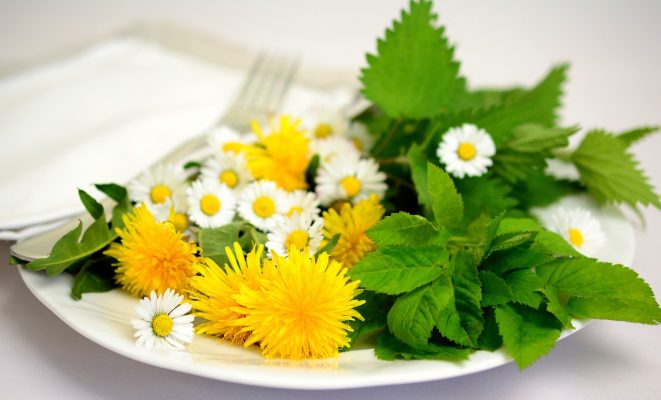 assiette de plantes